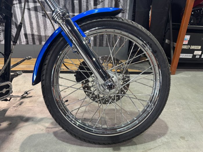 2007 Harley-davidson FXST SOFTAIL STANDARD Blue