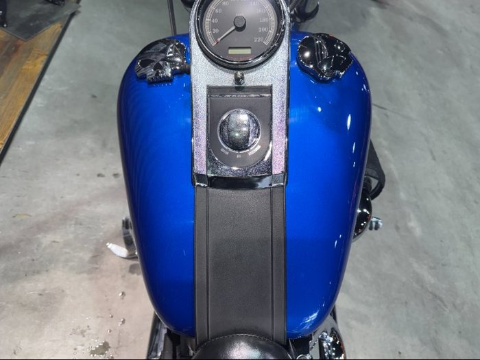 2007 Harley-davidson FXST SOFTAIL STANDARD Blue
