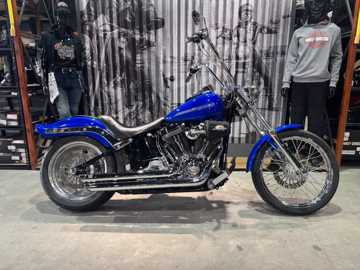 2007 Harley-davidson FXST SOFTAIL STANDARD Blue
