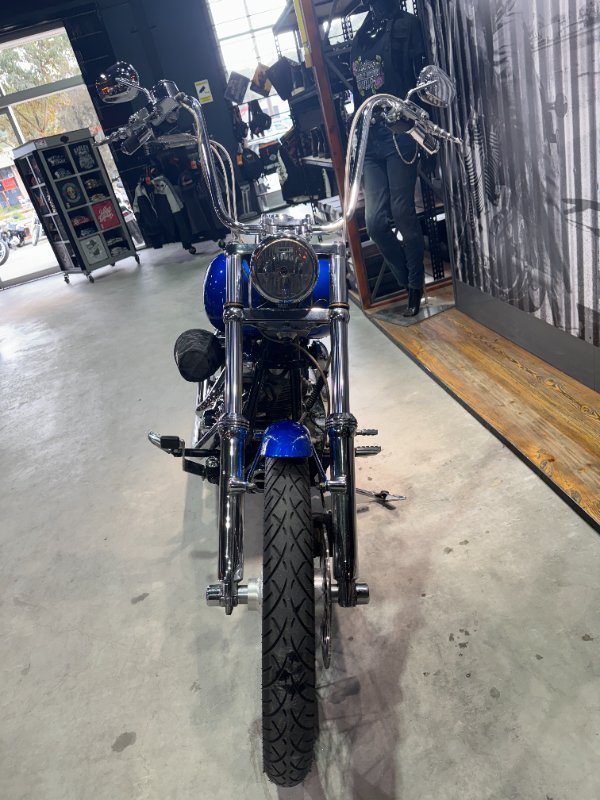2007 Harley-davidson FXST SOFTAIL STANDARD Blue