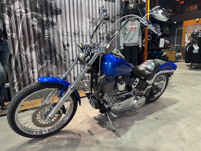 2007 Harley-davidson FXST SOFTAIL STANDARD Blue