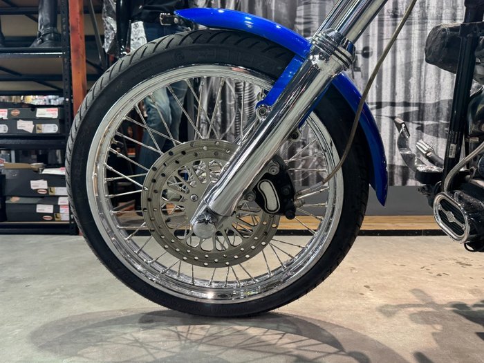 2007 Harley-davidson FXST SOFTAIL STANDARD Blue