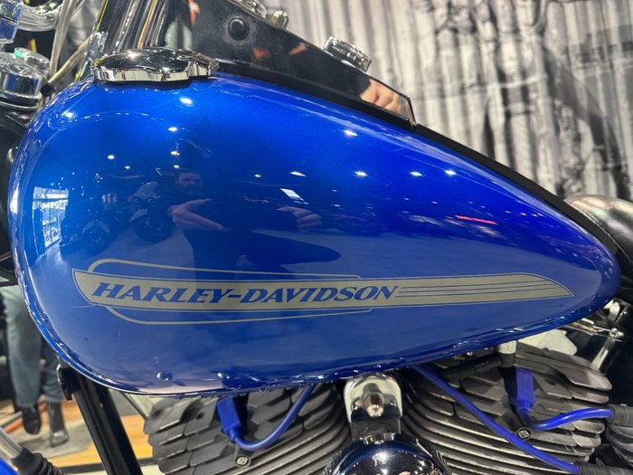 2007 Harley-davidson FXST SOFTAIL STANDARD Blue