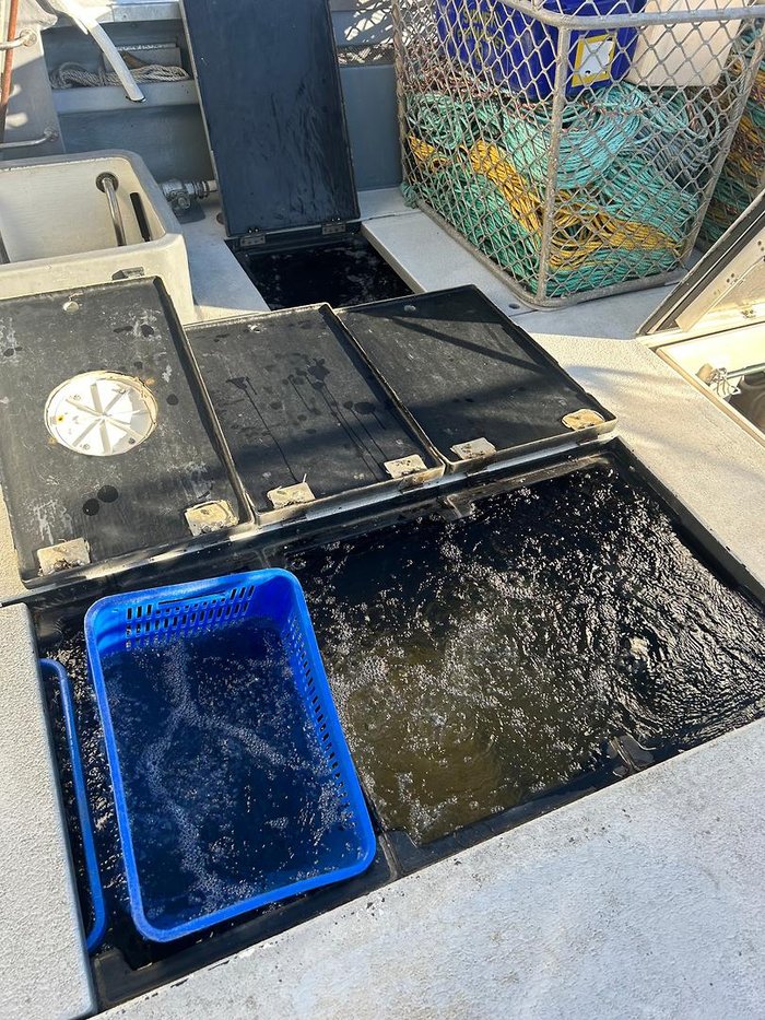 2002 COMMERCIAL Fishing Boat