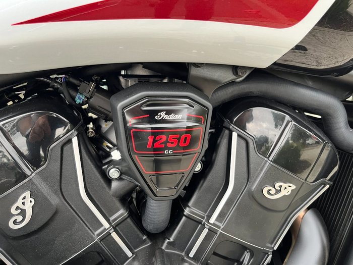 2025 Indian SCOUT 101 WHITE