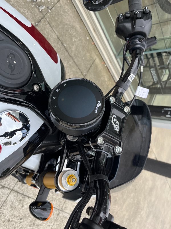 2025 Indian SCOUT 101 WHITE