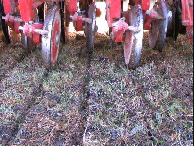 0 SEMEATO TDNG 420 DOUBLE DISC SEEDER IN STOCK NOW EX DEMO RED
