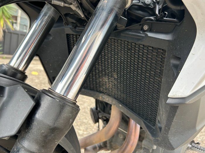2024 BMW Motorrad F 800 GS WHITE