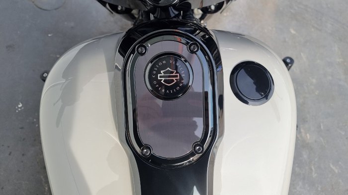 2020 Harley-davidson FLHXSE CVO STREET GLIDE Sand Dune