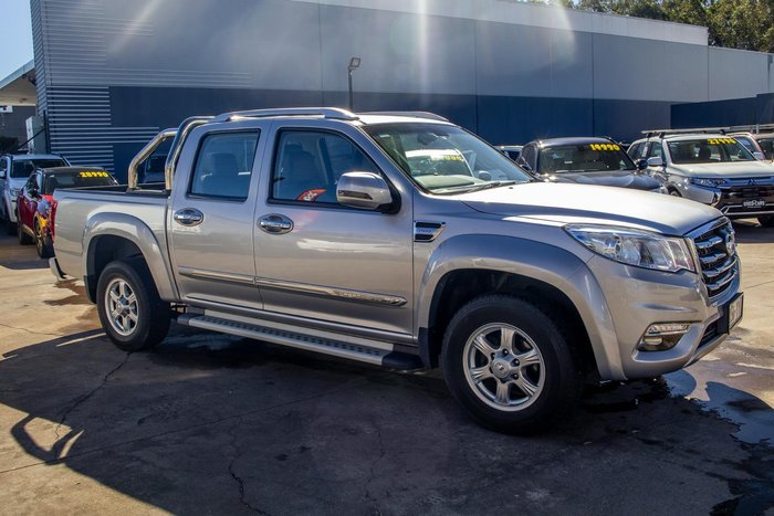 2019 Great Wall Steed