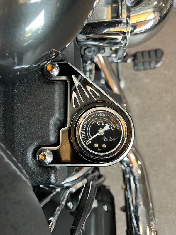2008 Harley-davidson FXSTB NIGHT TRAIN BLACK PEARL
