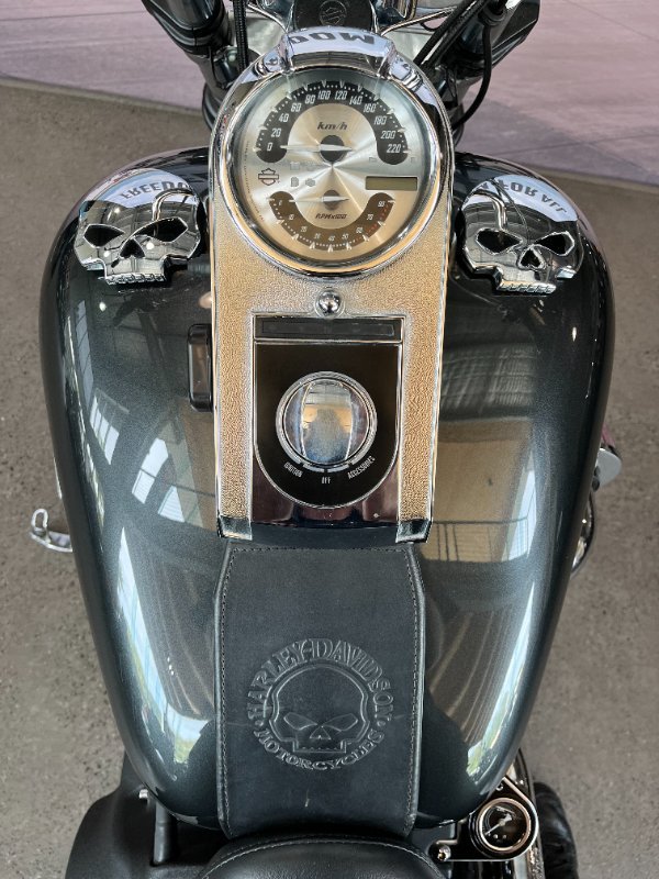 2008 Harley-davidson FXSTB NIGHT TRAIN BLACK PEARL
