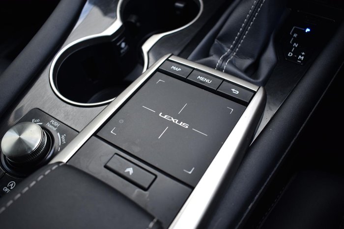 2020 Lexus RX 300 Luxury AGL20R Titanium