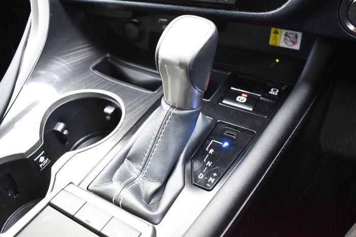 2020 Lexus RX 300 Luxury AGL20R Titanium