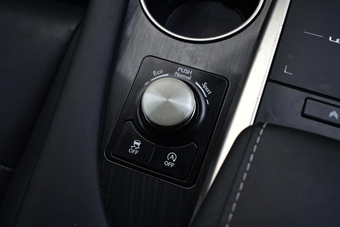 2020 Lexus RX 300 Luxury AGL20R Titanium