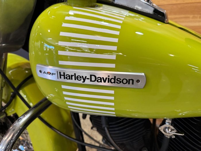 1973 Harley-davidson 1973 Harley-Davidson 1200CC FLH1200 ELECTRA GLIDE Green