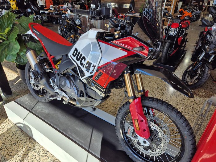 2024 Ducati Desert X Rally Desert X