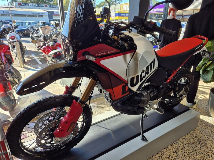 2024 Ducati Desert X Rally Desert X