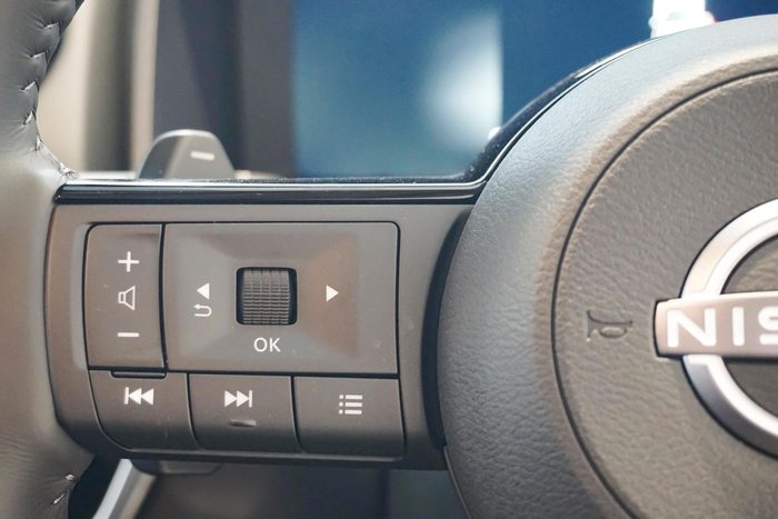2024 Nissan X-TRAIL N-TREK