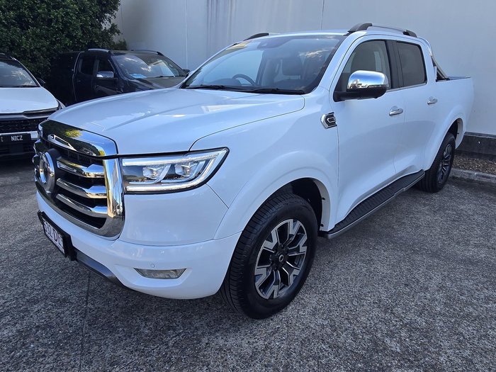 2020 GWM Ute Cannon-X