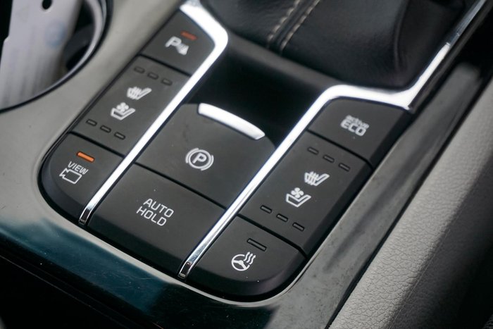 2019 Kia Carnival Platinum