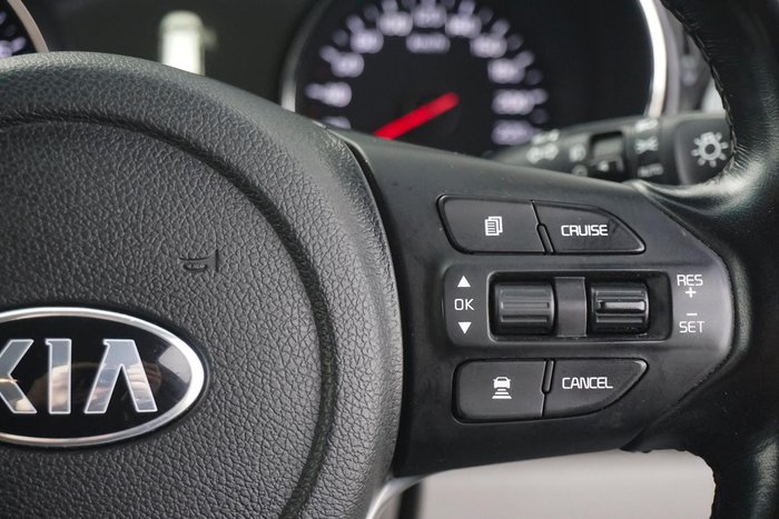 2019 Kia Carnival Platinum