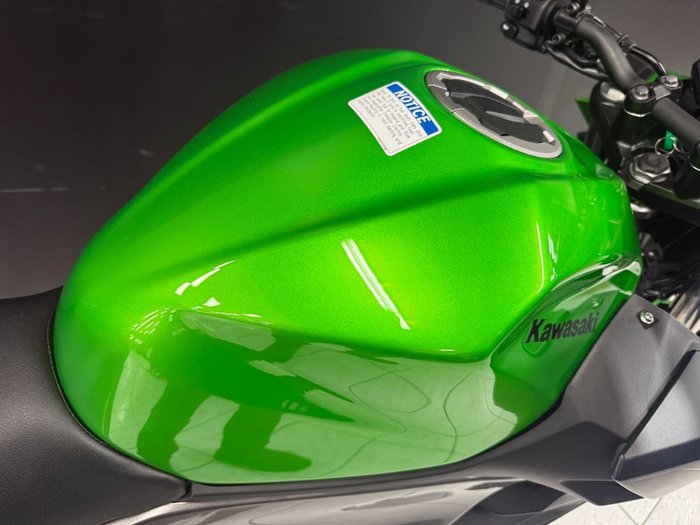 2025 Kawasaki Z500 Green