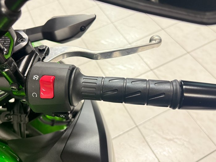 2025 Kawasaki Z500 Green