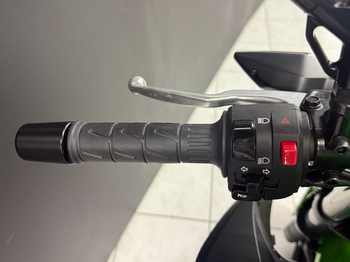 2025 Kawasaki Z500 Green