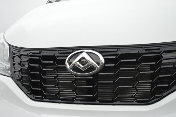 2024 LDV G10 +