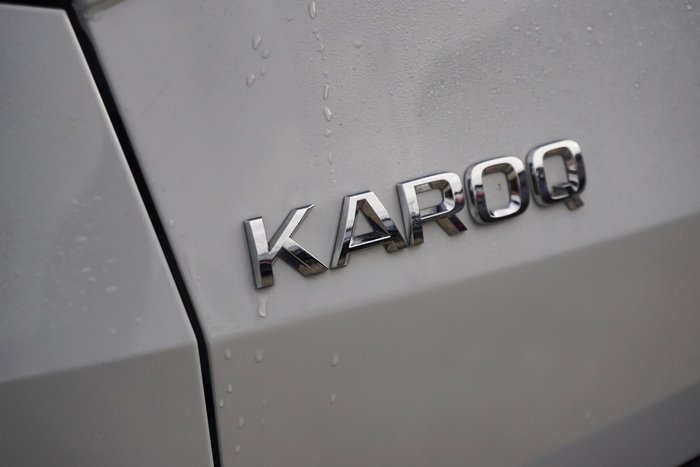 2021 SKODA Karoq 110TSI