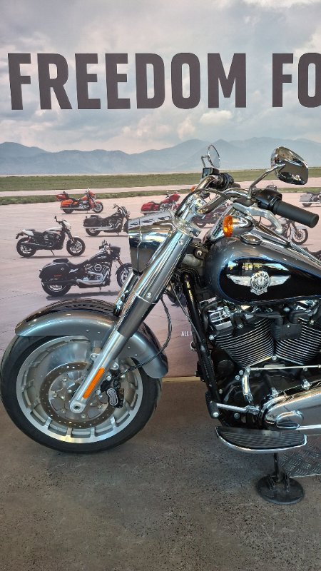 2021 Harley-davidson FLFBS FAT BOY S (114) GAUNTLET GRAY METALLIC/BLACK