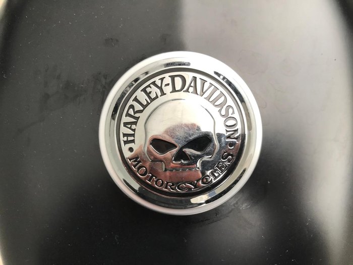 2015 Harley-Davidson Iron 883 (XL883N) 