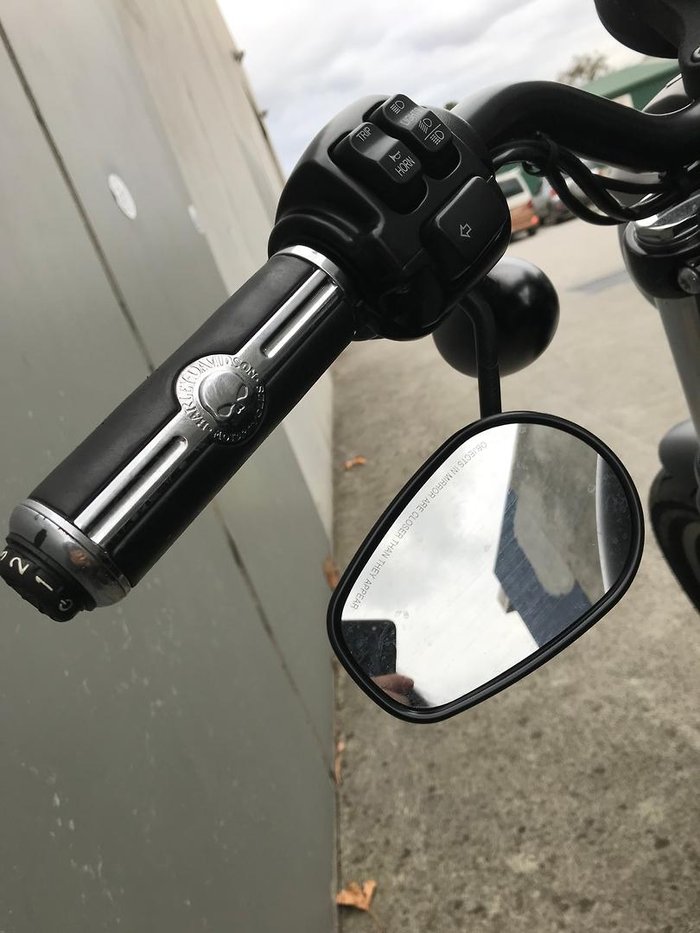 2015 Harley-Davidson Iron 883 (XL883N) 