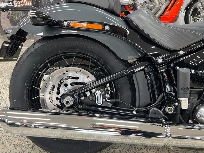 2025 Harley-Davidson Street Bob 117 (FXBB) Softail