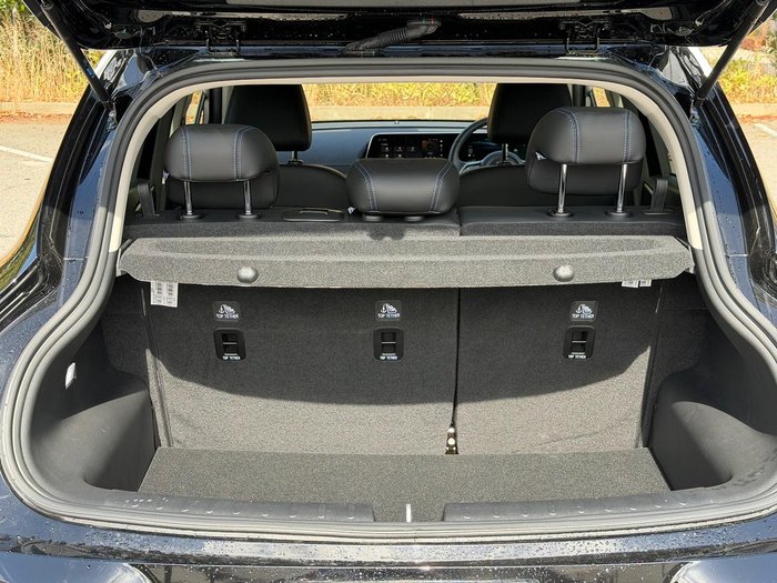 2025 GWM Ora Extended Range