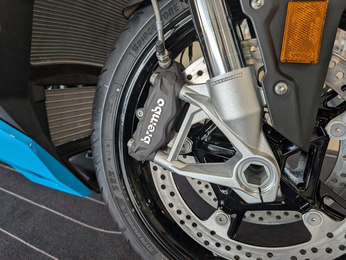 2025 BMW Motorrad S 1000 R Sport S 1000 Blue