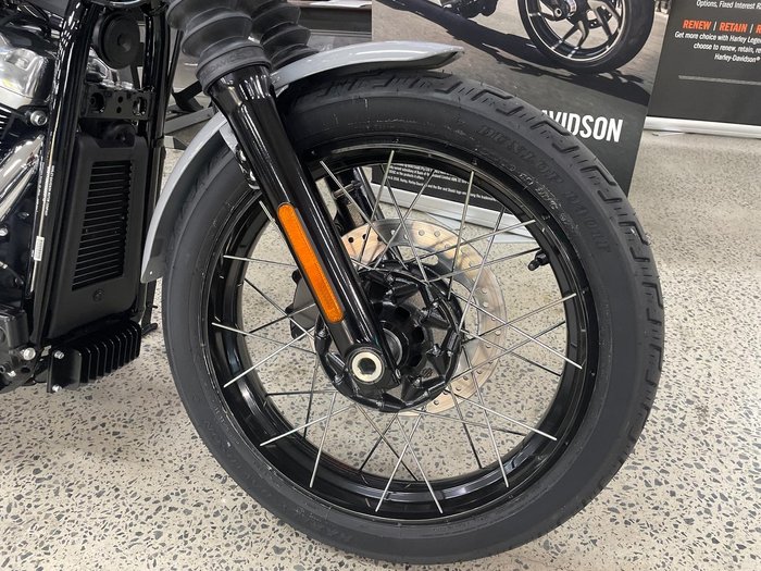 2025 Harley-Davidson Street Bob 117 (FXBB) Softail Grey