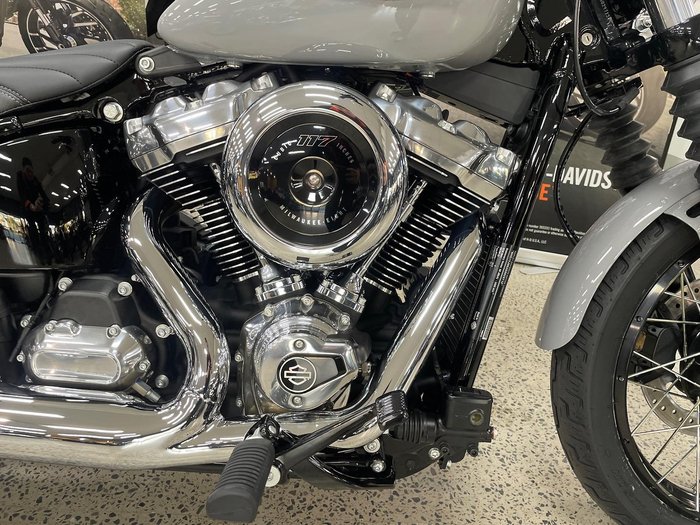 2025 Harley-Davidson Street Bob 117 (FXBB) Softail Grey