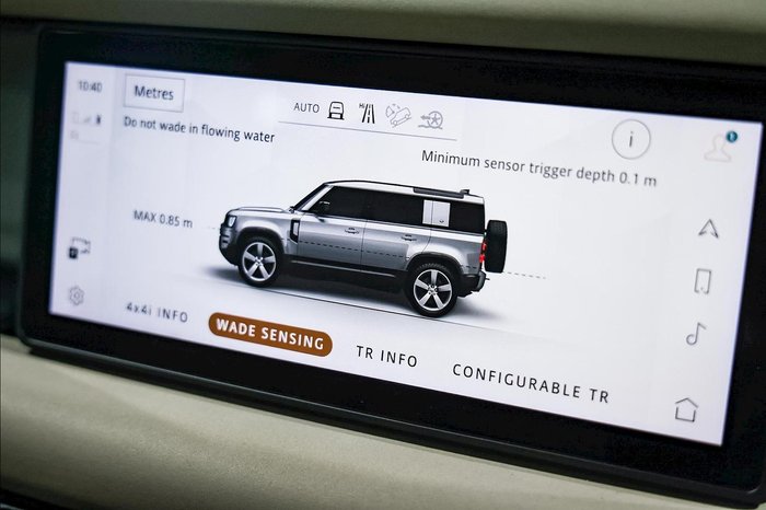 2020 Land Rover Defender 110 D240 First Edition L663 MY20.5 AWD Pangea Green