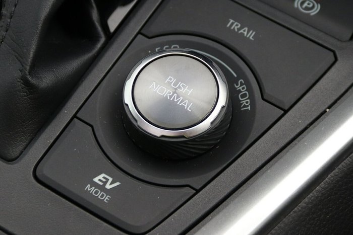 2021 Toyota RAV4 Cruiser
