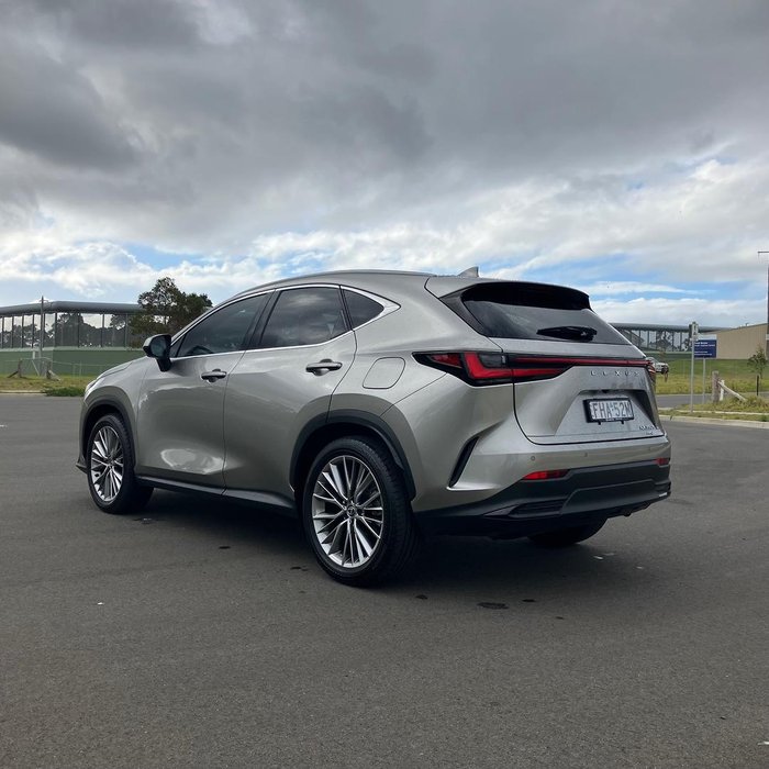 2024 Lexus NX 350h Sports Luxury