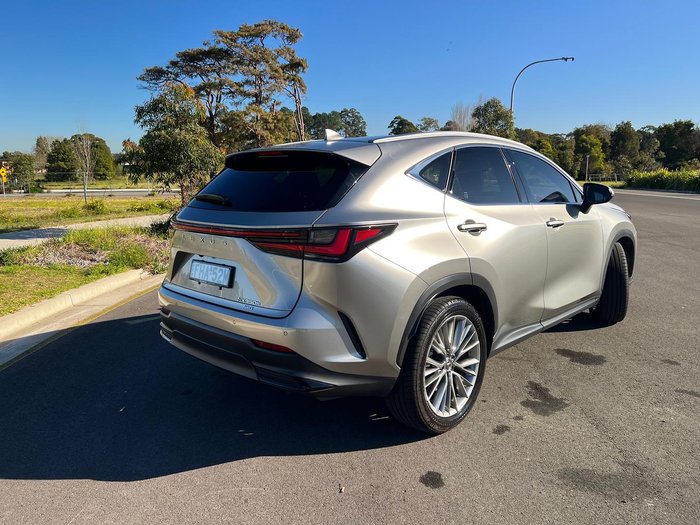 2024 Lexus NX 350h Sports Luxury