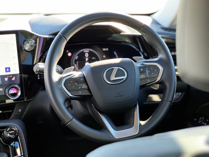 2024 Lexus NX 350h Sports Luxury