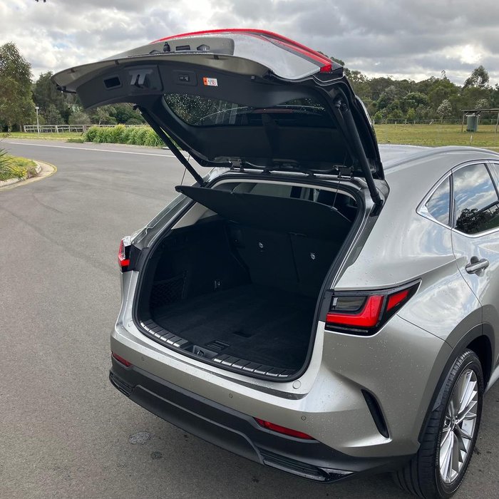 2024 Lexus NX 350h Sports Luxury