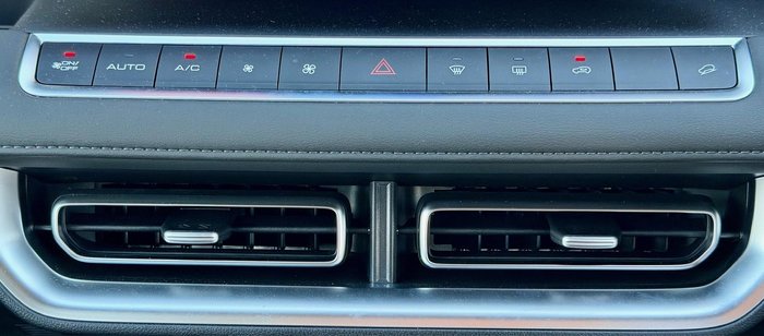 2025 GWM Cannon Premium