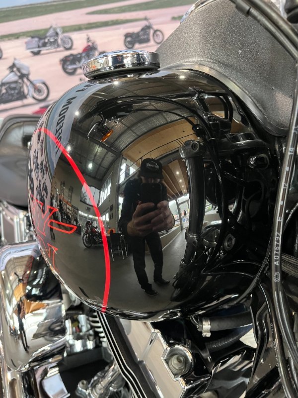 2016 Harley-davidson FXDL LOW RIDER Black