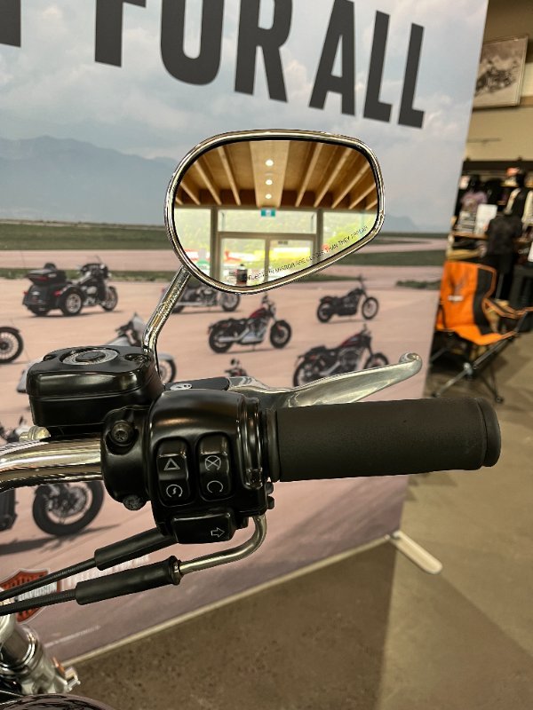 2016 Harley-davidson FXDL LOW RIDER Black