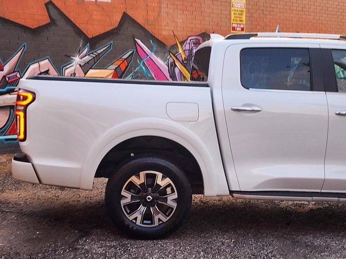 2022 GWM Ute Cannon-L
