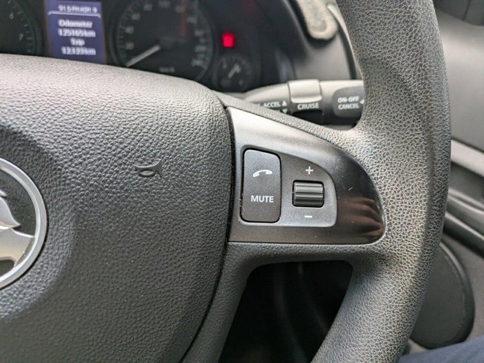 2010 Holden Commodore Omega